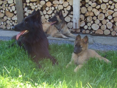kali26.5.2009 092.jpg